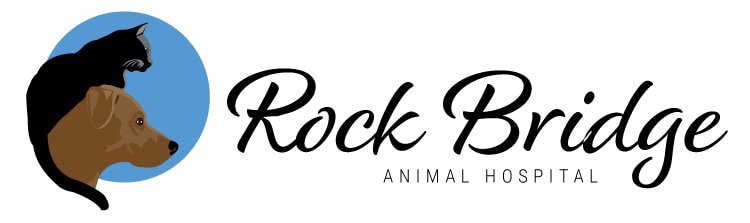 Rock Bridge Animal Hospital